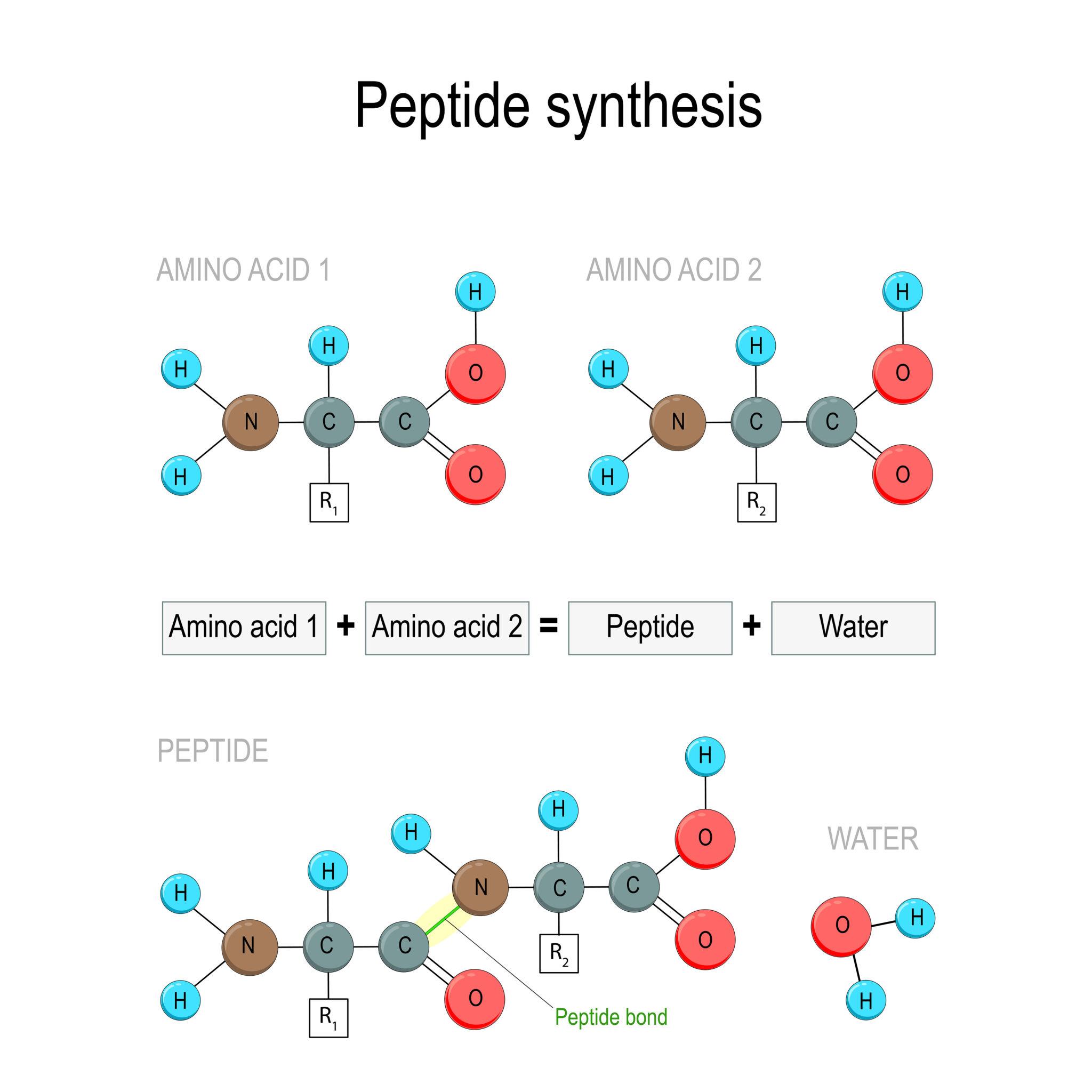 Peptide Shop peptide