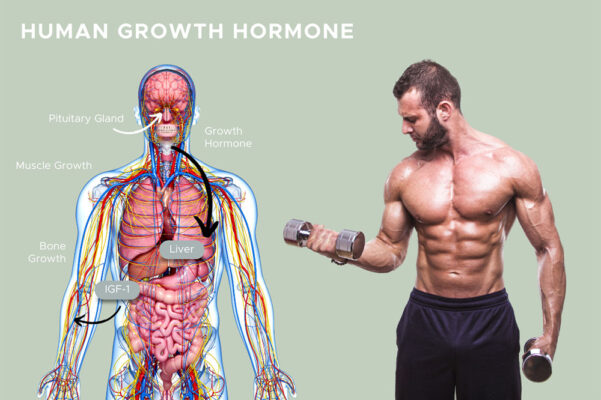Cheap Reta Peptides in Delaware USA peptide